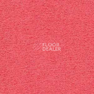 Ковролин Radici Nexus Geranio 8278 фото 1 | FLOORDEALER